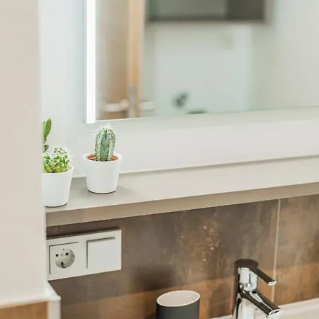 Διαμέρισμα Dachstein West T3 Russbach am Pass Gschutt