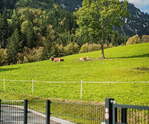 Dachstein West T3